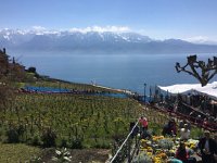 2017-04-29 13-59-02 bf3213ef